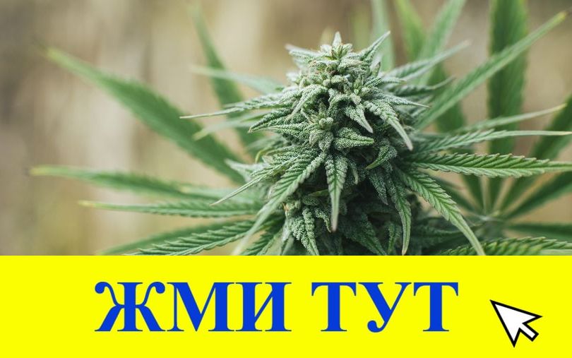 Купить наркотики в Тихвине